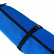 Dynastar Speedzone Basic Ski Bag