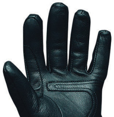 L1 Sabbra Glove - black