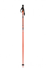 Race Ski Poles - black/orange