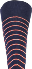 Mons Royale mons Tech Cushion Sock ZOOM - alpine stripe