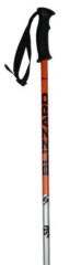 Šport Ski Poles - čierna/oranžová/strieborná